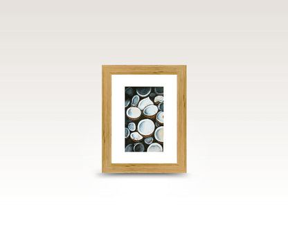 TropicArte™ Cocoons of the Sea