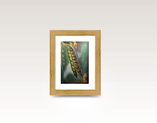 TropicArte™ Suspended Transformation