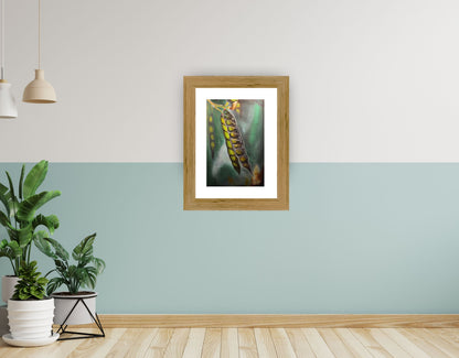 TropicArte™ Suspended Transformation