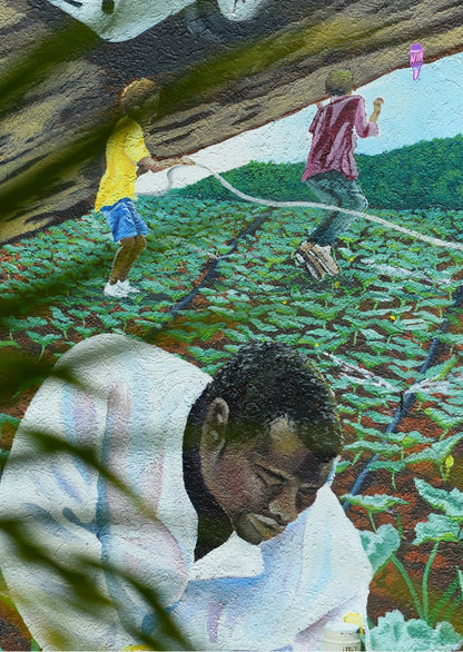 Wall Art